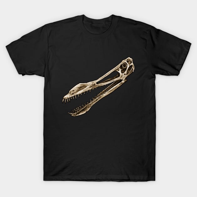 Anhanguera Pterosaur Skull T-Shirt by CassWArt